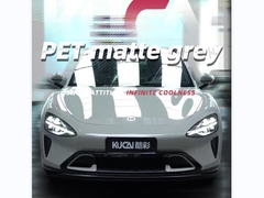 TPU-Porsche Matt Gris